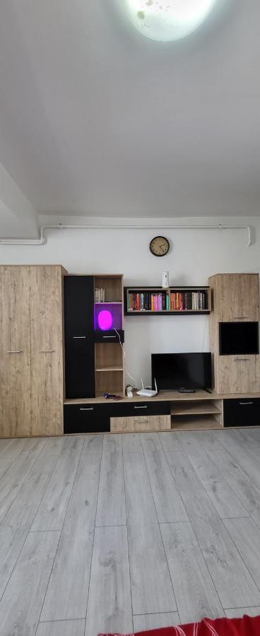 Self Check-In Studio 22 Bulevardul Oltenia Крайова Екстер'єр фото